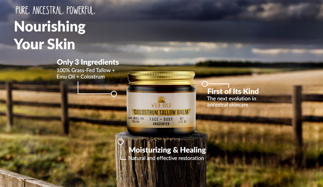 Why We Combined Tallow, Emu Oil, and Colostrum in One Balm (and Why Your Skin Will Thank You)