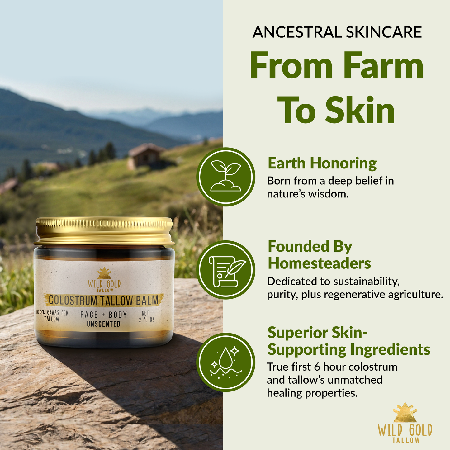 Colostrum Tallow Balm