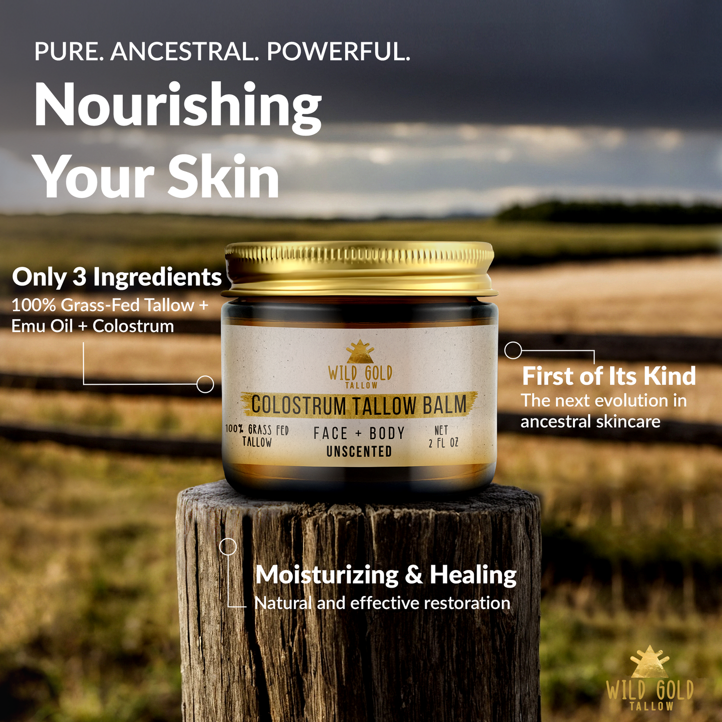 Colostrum Tallow Balm