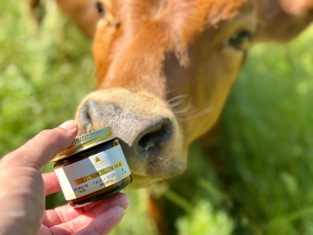 Fragrance-Free Skincare: Why Unscented Products Are Better for Sensitive Skin