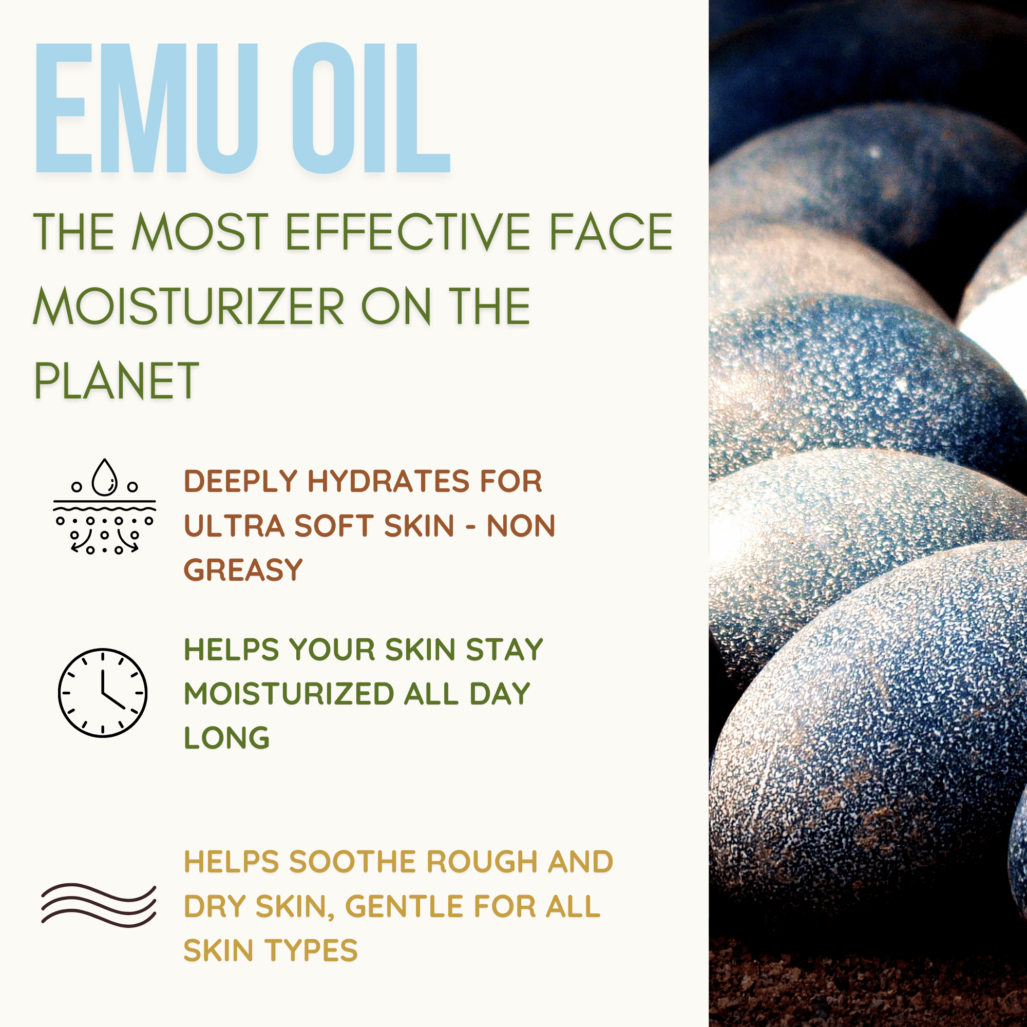 we use local emu oil in out tallow balm which penetrates the skin 5x deeper than other carrier oils. Great for an all day face moisturizer