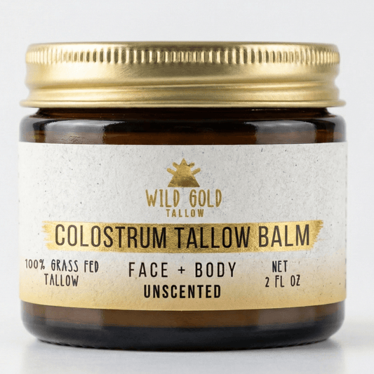 Jar of Wild Gold Tallow Colostrum Tallow Balm on a white background
